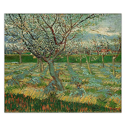 HUUDNHYK Cuadro de Van Gogh Albaricoqueros en Flor - Famosas reproducciones de Cuadros de Van Gogh - Cuadro postimpresionista de Van Gogh 108x90cm (43x36in) sin Marco