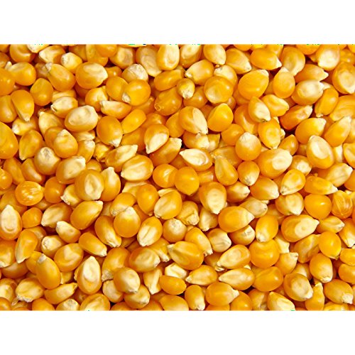 Importaco Itac - Maiz Palomitas 1 kg