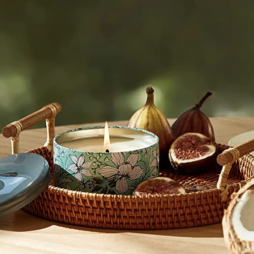 LA JOLIE MUSE Vela Aromática de Higo y Coco, Vela de Cera Natural para el Hogar, Velas Aromaticas para Regalo, 35 Horas de Duración, Envase, 185g