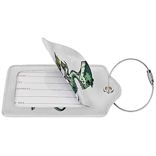 LINGF Etiquetas de equipaje de cuero de dinosaurio pequeño,etiquetas de equipaje,etiqueta de identificación de cuero de PU con cubierta de privacidad con lazo de acero inoxidable,juego de 4 piezas