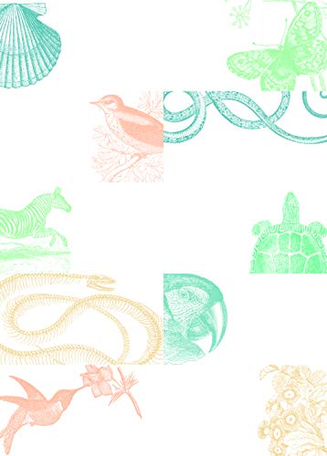 Natural History: Labels & Stickers (Label & Sticker Book)