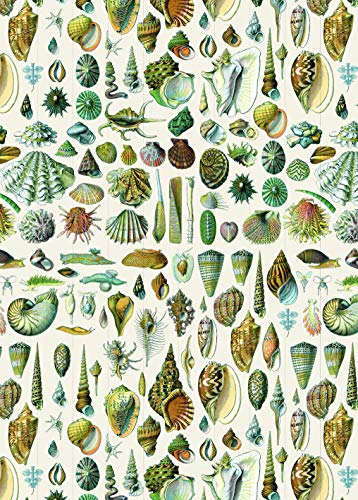 Natural History: Labels & Stickers (Label & Sticker Book)