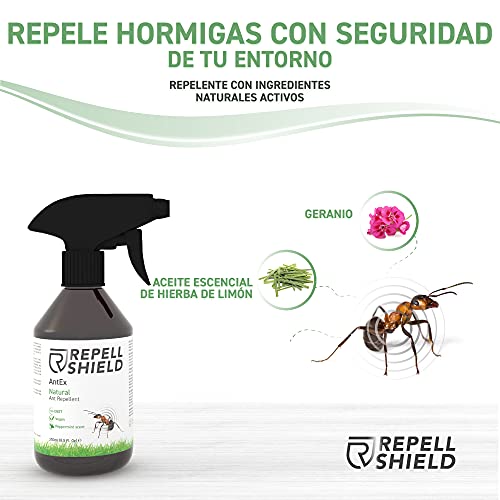 REPELL Shield Spray Repelente Hormigas - Repelente Antihormigas Interior y Exterior - Spray Anti Hormigas con Aceite de Menta y Canela - Alternativa Natural Ideal a Mata Hormigas Insecticida, 250ml