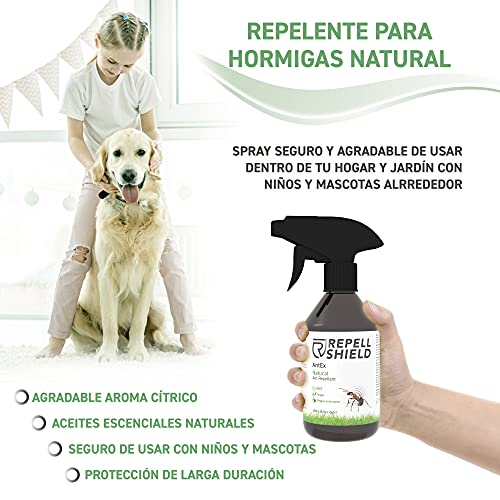 REPELL Shield Spray Repelente Hormigas - Repelente Antihormigas Interior y Exterior - Spray Anti Hormigas con Aceite de Menta y Canela - Alternativa Natural Ideal a Mata Hormigas Insecticida, 250ml