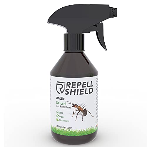 REPELL Shield Spray Repelente Hormigas - Repelente Antihormigas Interior y Exterior - Spray Anti Hormigas con Aceite de Menta y Canela - Alternativa Natural Ideal a Mata Hormigas Insecticida, 250ml