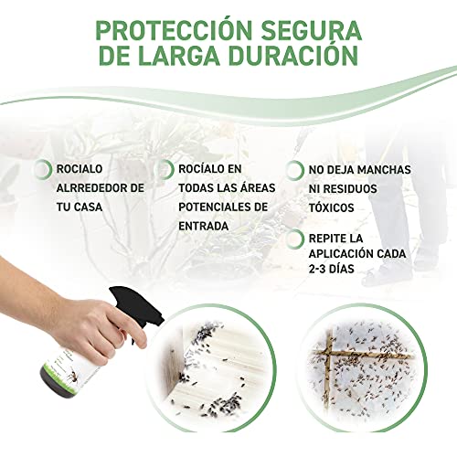 REPELL Shield Spray Repelente Hormigas - Repelente Antihormigas Interior y Exterior - Spray Anti Hormigas con Aceite de Menta y Canela - Alternativa Natural Ideal a Mata Hormigas Insecticida, 250ml