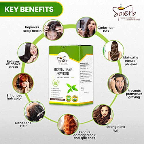 Spierb Henna Polvo - 250gm- de Hojas de Henna a Base de Hierbas para Teñir el Cabello Sin Productos Químicos Colorante Natural Marrón 100% Puro de Henna Powder Lawsonia Inermis Fácil de Usar