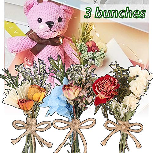 UFLF 3pcs Mini Ramos de Flores Rosas Naturales Secas Flores Secas Decorativas Rosas Preservadas para Regalos Decoración Regalos MiniJarrón Boda Fiesta Mesa Manualidad DIY