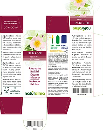 Wild rose o Rosa silvestre (Rosa canina) Flores de Bach Naturalma | No. 37 | Gotas 30 ml | Extracto líquido sin alcohol | Esencias florales | Vegano y libre de alcohol