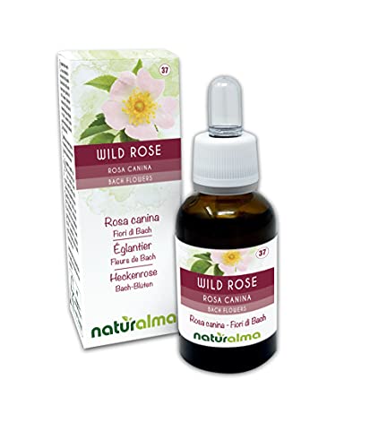 Wild rose o Rosa silvestre (Rosa canina) Flores de Bach Naturalma | No. 37 | Gotas 30 ml | Extracto líquido sin alcohol | Esencias florales | Vegano y libre de alcohol