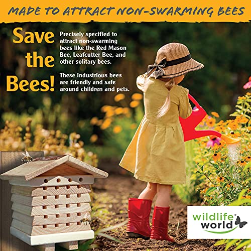 Wildlife World Interactive Solitary Bee Hive
