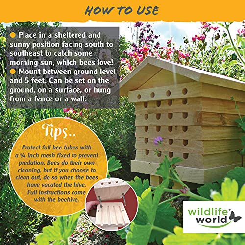 Wildlife World Interactive Solitary Bee Hive