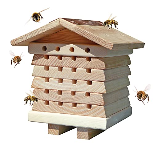 Wildlife World Interactive Solitary Bee Hive