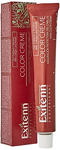 xitenn color cream 60 ml, color 10001 silver nordic
