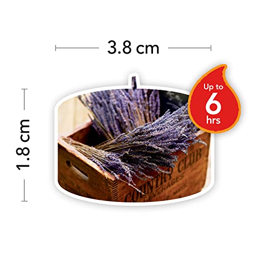 Yankee Candle Dries Lavender & Oak Velas de Té Aromáticas, Morado, 12 x 9.8 g
