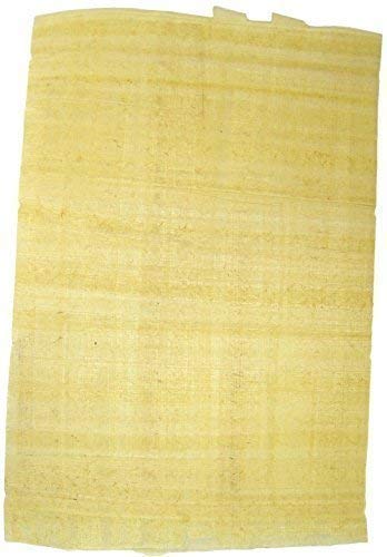 10 Hojas Egipcio PAPYRUS Papel & Jeroglíficos INFO