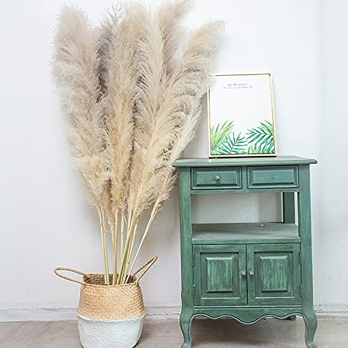 10 Unids Flores Secas Pampas Hierba Reed Hierba Plumes Gran Planta Natural Color Natural Pampas Fluffy Phragmites 47"Tall Cream Fluffy Pampas Grass Decor para el hogar