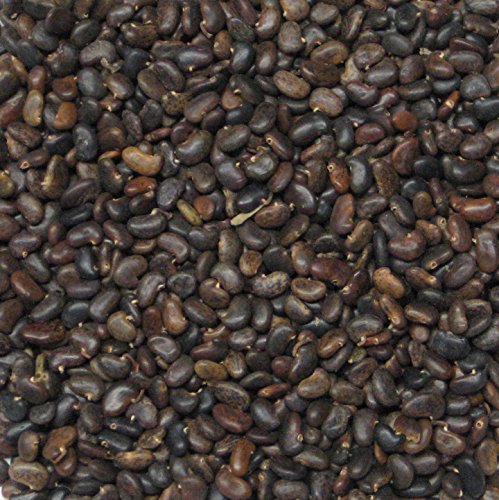 250 Semilla Negro Locust Bonsái Paquete Robinia pseudoacacia