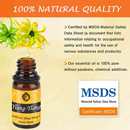 Aceites Esenciales Humidificador, 20x5ml Aceites Esenciales Naturales 100%, Aromaterapia para Humidificador y Difusor Aroma, SPA, Masajes, Relajarse, Ayuda a Dormir con Calma