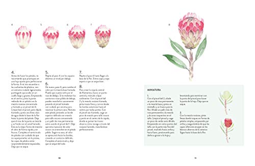 Acuarela Botánica. Dibuja y pinta Flores y plantas
