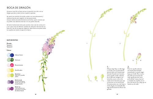Acuarela Botánica. Dibuja y pinta Flores y plantas