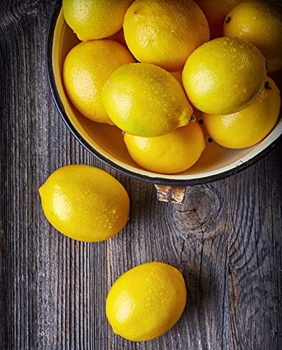 AIVORIUY 18 Piezas Frutas Artificiales Surtidas de Frutas Realistas Frutas Falsas Juego de Frutas de Simulación ​para la Decoración del Restaurante de la Cocina del Hogar de Fiesta de Navidad