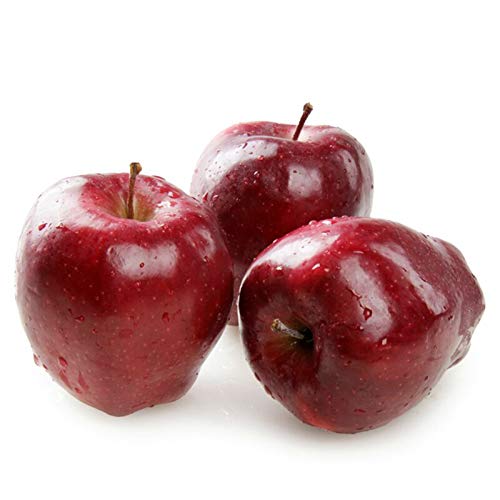 AIVORIUY 18 Piezas Frutas Artificiales Surtidas de Frutas Realistas Frutas Falsas Juego de Frutas de Simulación ​para la Decoración del Restaurante de la Cocina del Hogar de Fiesta de Navidad