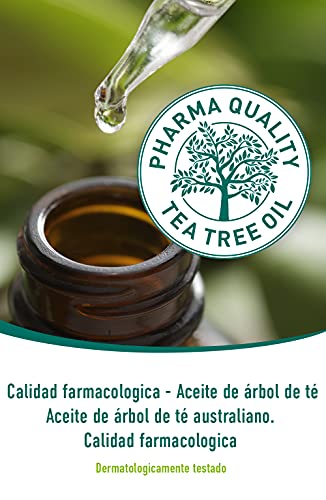 alkmene Mascarilla exfoliante 3en1 con aceite del árbol del té - anti espinillas, manchas y rojeces - cuidado facial vegano sin siliconas, ni parabenos 1x 150 ml