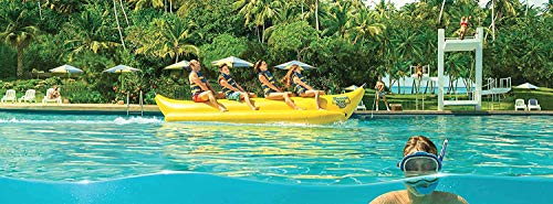 Banana Boat Aloe Vera - After Sun Gel Crema Hidratante, Refrescante y Reparadora de la Piel - Pack 3 x 453 ml