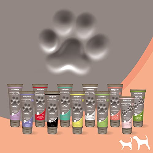Beaphar Champú Alta Cosmética Perros Pelo Brillante, Un tamaño 250 ml 250 ml