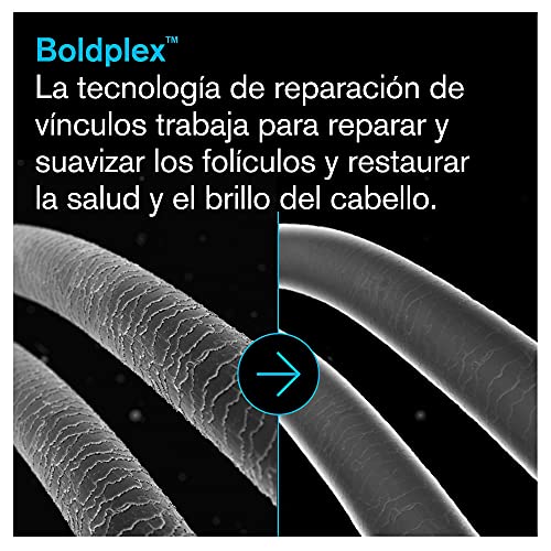 BoldPlex 5 Acondicionador Sin Sulfatos de Proteínas - Hidratante para Cabello Rizado, Seco, Teñido, Encrespado, Dañado, Decolorado. Libre de Parabenos - Aprobado por PETA, Vegano - 237 ml