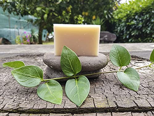 Decolores | Jabón de Karité | Jabones Naturales | 100 gr | Artesanal | Uso Facial y Corporal | Aroma Agradable | Nutritivo | Limpieza Profunda e Hidratación