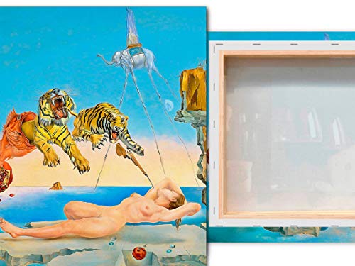 Desconocido Cuadro Lienzo Sueño causado por el Vuelo de una Abeja Salvador Dali – 40x50 cm - Lienzo de Tela Bastidor de Madera de 3 cm - Impresion Alta resolucion (40, 50)