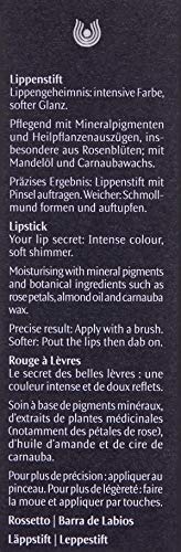 Dr. Hauschka Barra De Labios 10 Dahlia 4,1Gr. 1 Unidad 100 g