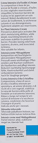 Dr. Hauschka Crema intensiva planta de la escarcha 50ml. 1 Unidad 50 g