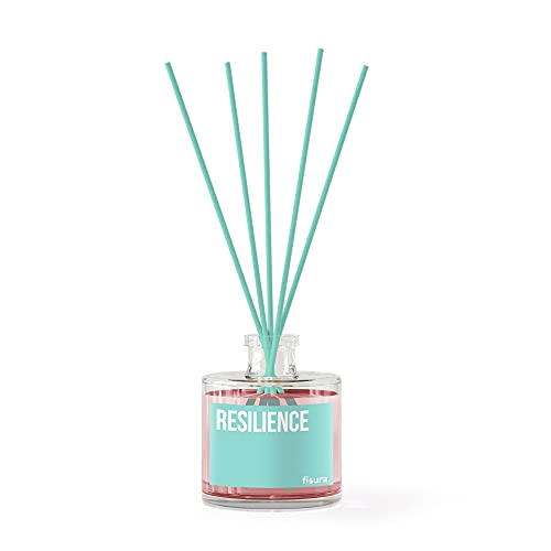 Fisura | Mikado Resilience