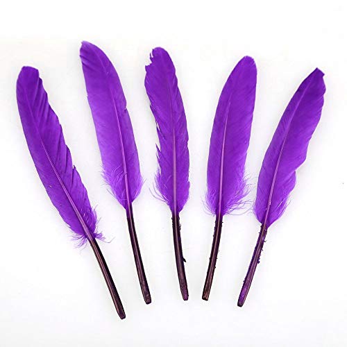 FORUMALL 100pcs de Artesanía Natural Plumas de Ganso para Disfraces Bolsos Decoración de Aretes Atrapasueños de Bricolaje Festival de Bodas Decoraciones para Fiestas en el Hogar