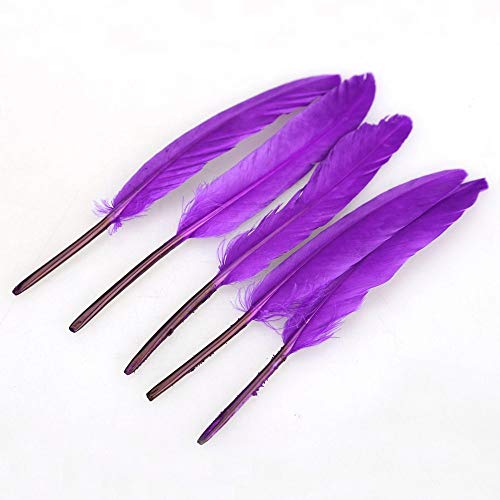 FORUMALL 100pcs de Artesanía Natural Plumas de Ganso para Disfraces Bolsos Decoración de Aretes Atrapasueños de Bricolaje Festival de Bodas Decoraciones para Fiestas en el Hogar