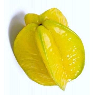 Fresh Star Fruit Tropical Averrhoa carambola carambola (semillas de árboles exótico comestible) 3 Semillas