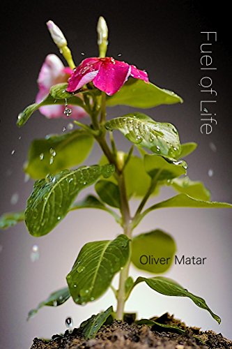 Fuel Of Life (English Edition)