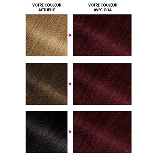 Garnier - Olia - Coloration Permanente à l’Huile Sans Ammoniaque Carmin - 4.62 Carmin Velours