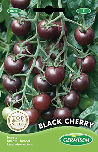 Germisem Black Cherry Tomate 20 Semillas (EC8020)