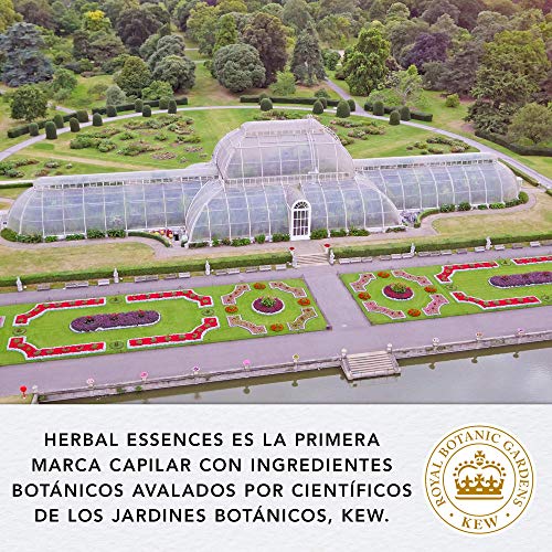 Herbal Essences bio:renew Acondicionador para un pelo suave, Aceite de Moringa Dorada 400ml, con ph neutro e ingredientes naturales