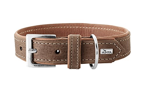 HUNTER Porto Hundehalsband, Leder, Premiumleder vegetabil, umweltfreundlich, nachhaltig, 55 (M), Tabak/Cognac