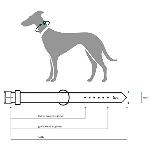 HUNTER Porto Hundehalsband, Leder, Premiumleder vegetabil, umweltfreundlich, nachhaltig, 55 (M), Tabak/Cognac