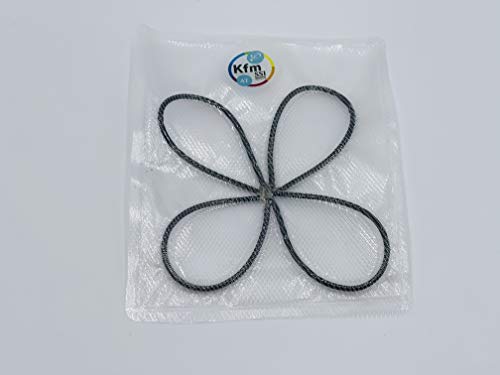Keshe GANS Campos de plasma Absorción Mariposa - Pequeño (3)