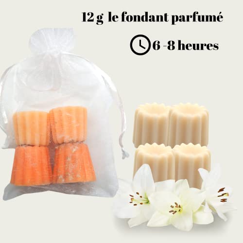 KOGAN Fondantes de cera perfumados canelés Cera de Soja Natural para Quemador Fragancia - 24 piezas de velas perfumadas a base de cera de soja 100% natural
