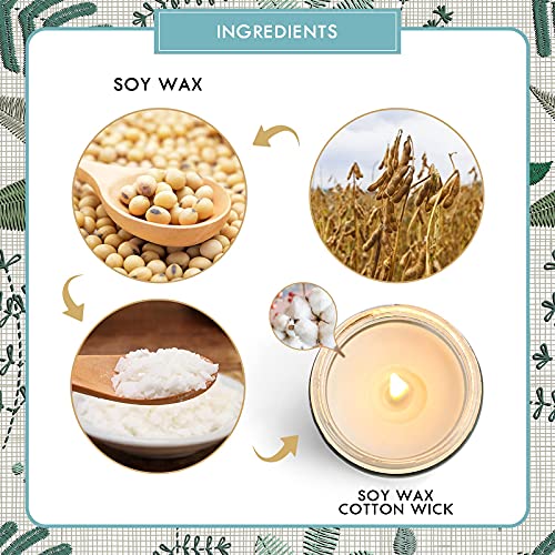 LA BELLEFÉE Vela perfumada, relajante aromaterapia, cera de soja natural, aroma alto, decoración del hogar, regalo de lujo para mujeres, día de San Valentín, día de la madre, lino