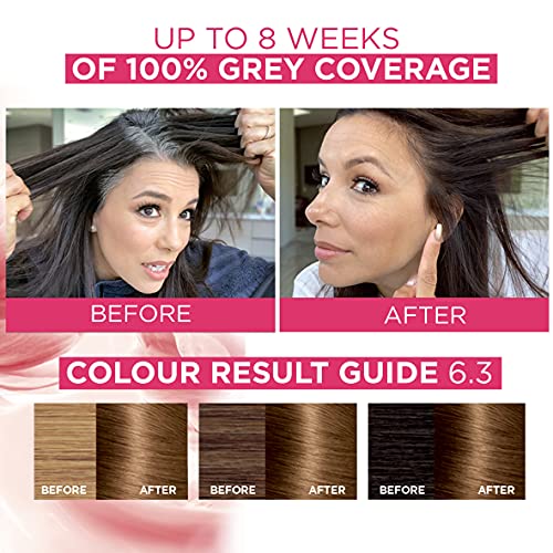 L'Oréal Paris Excellence Creme Triple Care Crème Colour 6.3 Natural Light Gol...