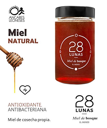 Miel de Bosque - 100% Natural Pura de Abeja, Cruda, 1Kg - Origen: El Bierzo, España